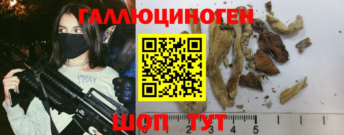 цена   Псилоцибиновые грибы MAGIC MUSHROOMS  Вход с VPN  Майский 